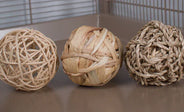 Which Materials Are Safe for Pet Rats?