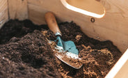 What Soil Is Safe for a Rat Dig Box?