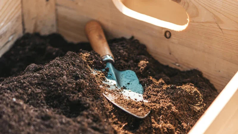 What Soil Is Safe for a Rat Dig Box?