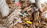What bedding can I use in my rats’ cage?