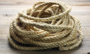 Are Ropes Safe in a Rat Cage? What to Know Before You Add Them