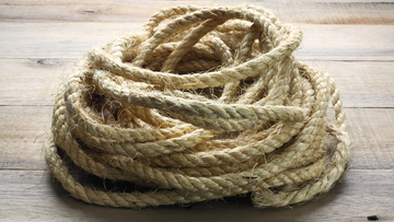 Are Ropes Safe in a Rat Cage? What to Know Before You Add Them