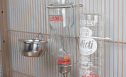Which bottles and bowls do I need for my rats?