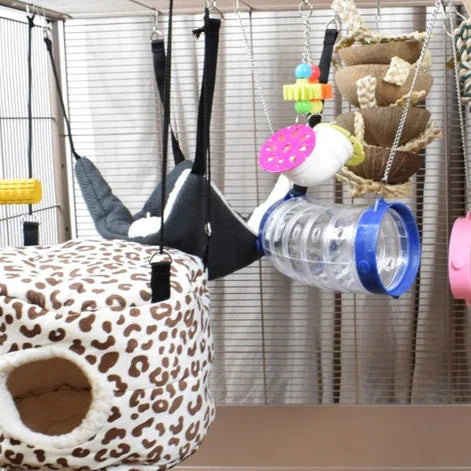 Multiple hanging items in a fancy rat cage
