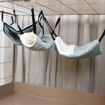 Multiple rat hammocks hanging in cage setup soft beds for pet rats