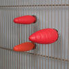 Red rat gnaws attached to a metal cage