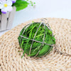 Metal forage ball feeder with hook for vegetables hay and enrichment for pet rats